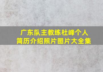 广东队主教练杜峰个人简历介绍照片图片大全集