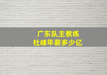 广东队主教练杜峰年薪多少亿