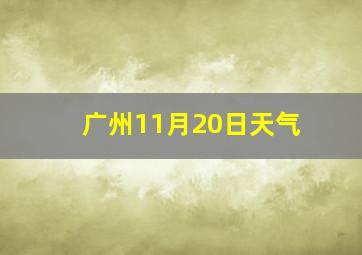 广州11月20日天气