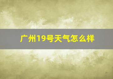 广州19号天气怎么样