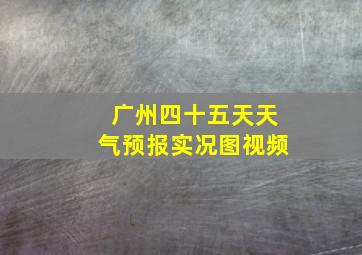 广州四十五天天气预报实况图视频