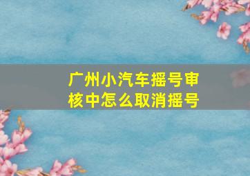 广州小汽车摇号审核中怎么取消摇号