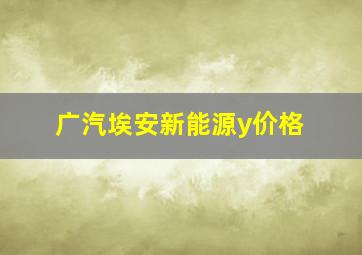 广汽埃安新能源y价格