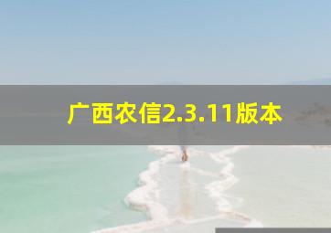 广西农信2.3.11版本