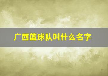 广西篮球队叫什么名字