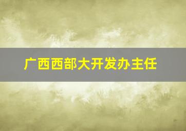 广西西部大开发办主任