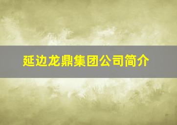 延边龙鼎集团公司简介