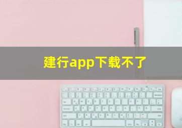 建行app下载不了