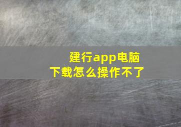 建行app电脑下载怎么操作不了