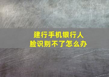 建行手机银行人脸识别不了怎么办