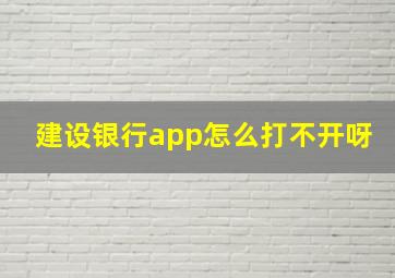 建设银行app怎么打不开呀