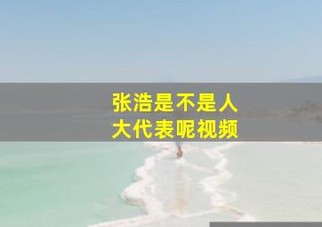 张浩是不是人大代表呢视频