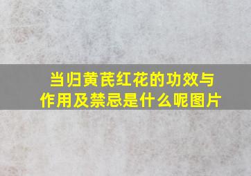 当归黄芪红花的功效与作用及禁忌是什么呢图片