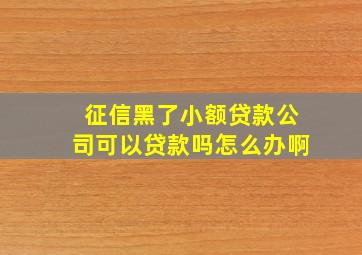 征信黑了小额贷款公司可以贷款吗怎么办啊