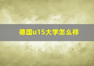 德国u15大学怎么样