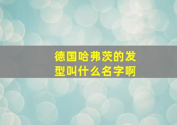 德国哈弗茨的发型叫什么名字啊