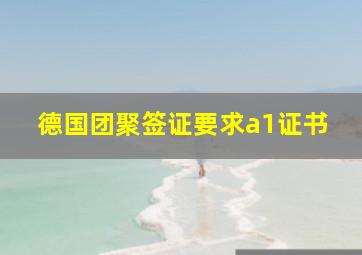 德国团聚签证要求a1证书