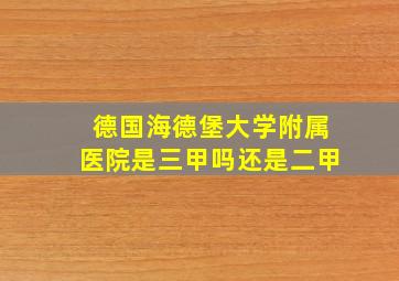 德国海德堡大学附属医院是三甲吗还是二甲