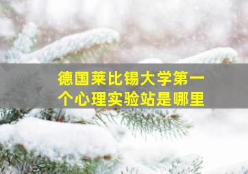 德国莱比锡大学第一个心理实验站是哪里