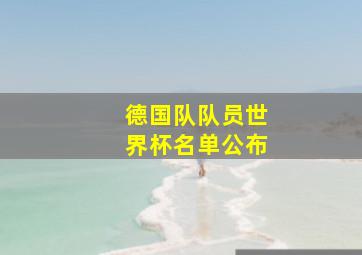 德国队队员世界杯名单公布