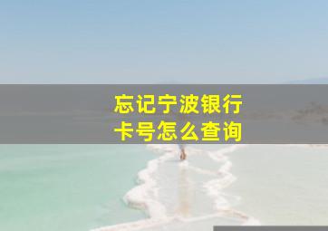 忘记宁波银行卡号怎么查询