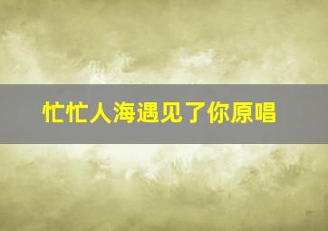 忙忙人海遇见了你原唱