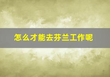 怎么才能去芬兰工作呢