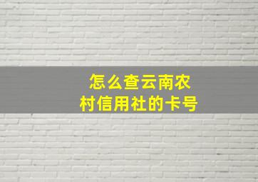 怎么查云南农村信用社的卡号