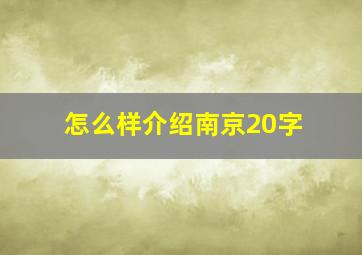 怎么样介绍南京20字