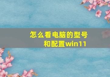 怎么看电脑的型号和配置win11