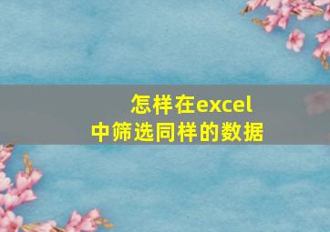 怎样在excel中筛选同样的数据