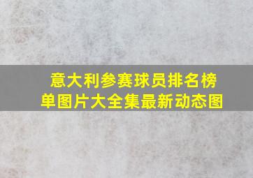 意大利参赛球员排名榜单图片大全集最新动态图