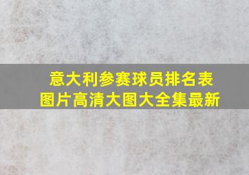 意大利参赛球员排名表图片高清大图大全集最新