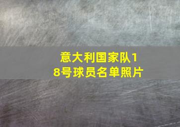 意大利国家队18号球员名单照片