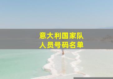 意大利国家队人员号码名单