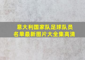 意大利国家队足球队员名单最新图片大全集高清