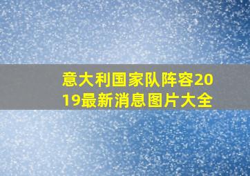 意大利国家队阵容2019最新消息图片大全