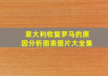 意大利收复罗马的原因分析图表图片大全集