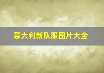 意大利新队服图片大全