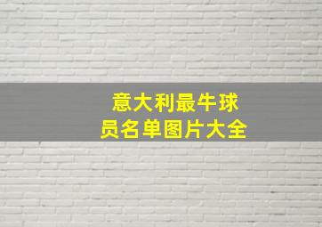 意大利最牛球员名单图片大全