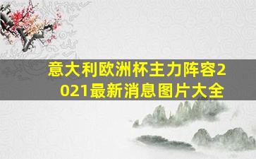 意大利欧洲杯主力阵容2021最新消息图片大全