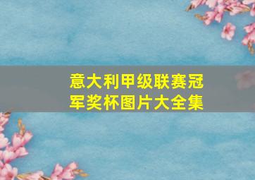 意大利甲级联赛冠军奖杯图片大全集