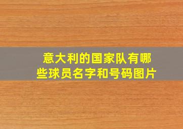 意大利的国家队有哪些球员名字和号码图片