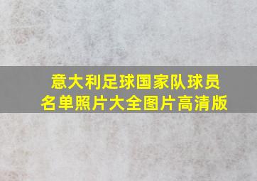 意大利足球国家队球员名单照片大全图片高清版