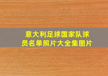 意大利足球国家队球员名单照片大全集图片