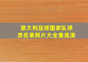 意大利足球国家队球员名单照片大全集高清