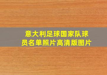 意大利足球国家队球员名单照片高清版图片