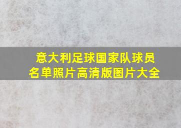 意大利足球国家队球员名单照片高清版图片大全