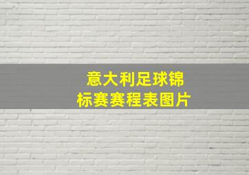 意大利足球锦标赛赛程表图片