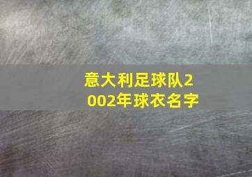 意大利足球队2002年球衣名字